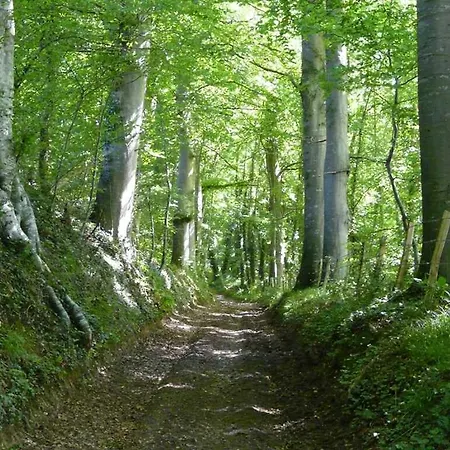 Gite Gites De France - La Clef Des Champs Holiday home