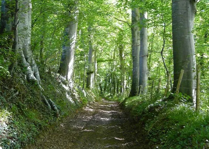 De France - La Clef Des Champs Dom wakacyjny
